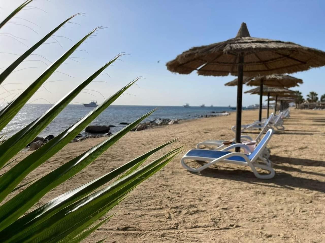 Apartment For Rent In The View 607 Hurghada